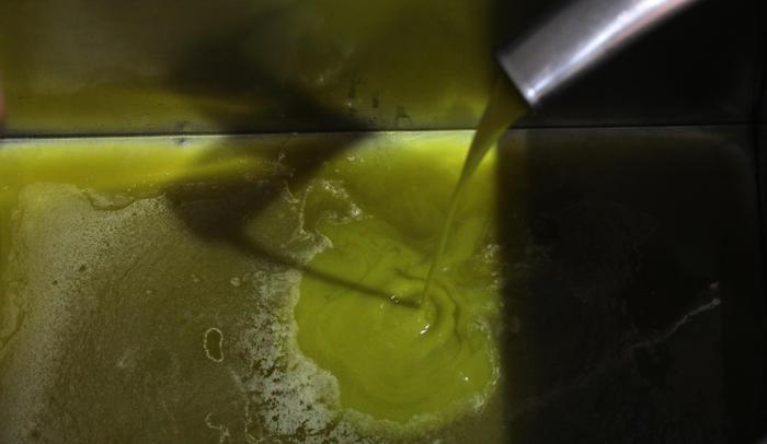 La produzione olio di oliva in Italia è ai minimi storici