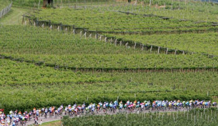 'Vini da terre estreme', nuova edizione a Treviso