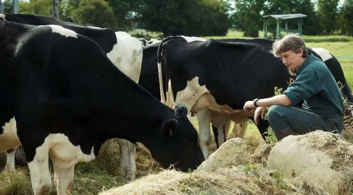 Cibo e cinema d'autore, Gambero Rosso svela eccellenze Italia