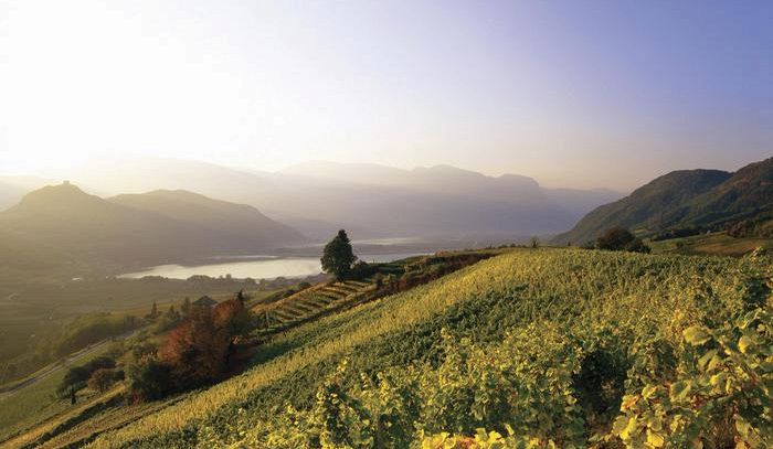 Kaltern è la prima cantina italiana certificata Fair'n green