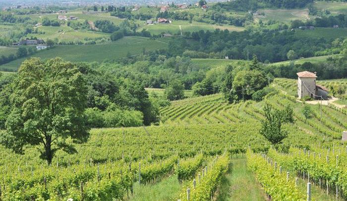 Consiglio Veneto, via libera a candidatura Unesco Prosecco
