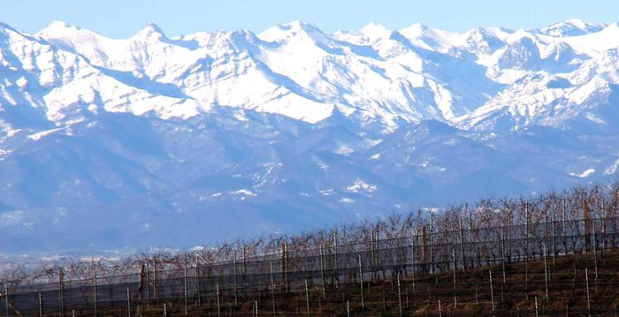 Conti e novità, 2019 'sorride' a Terre del Barolo