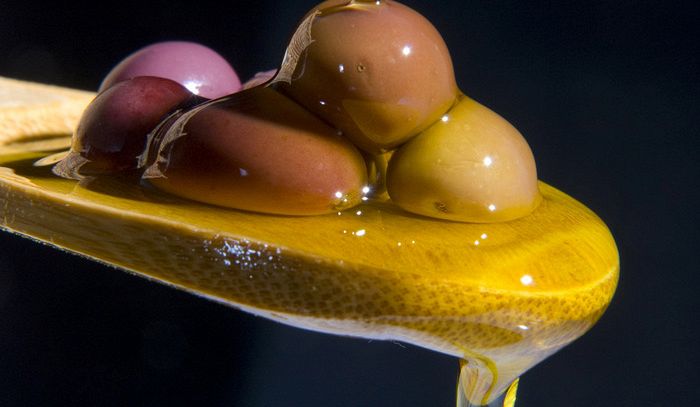 Sol d'Oro, successo dell'olio italiano con 11 medaglie su 15