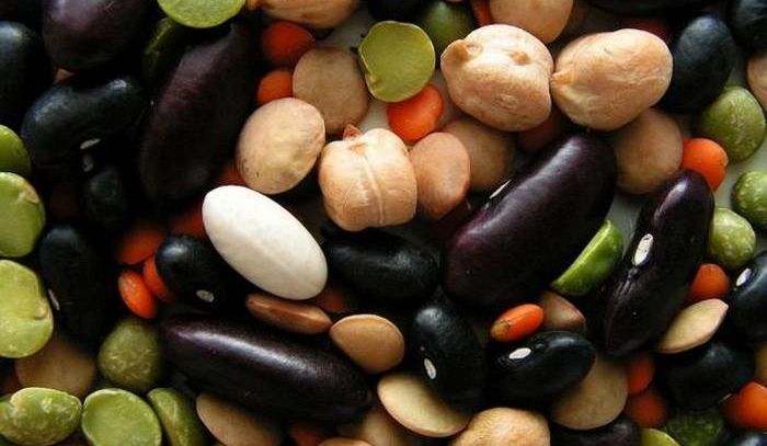 Legumi in cucina, sette notizie ancora poco conosciute