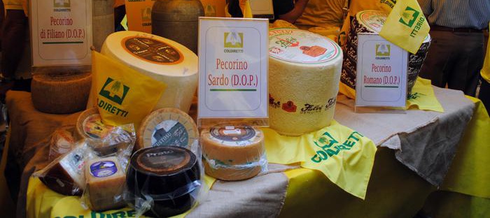 Il 17 il primo Pecorino Day per sostenere i pastori