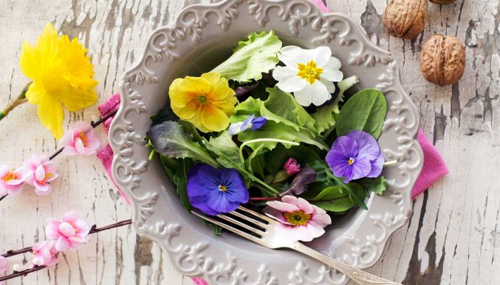 A Sanremo il primo contest di ricette coi fiori