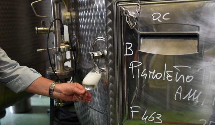 Vinitaly: 120 etichette consorzi Pignoletto e Colli Bolognesi