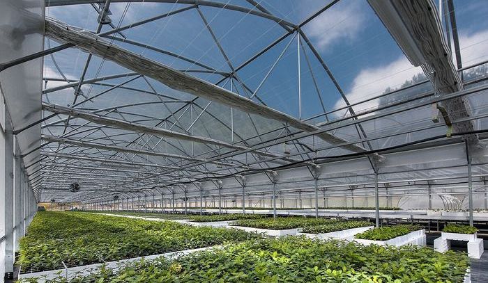 Alimentare, prosegue progetto Truffleland Urbani Tartufi