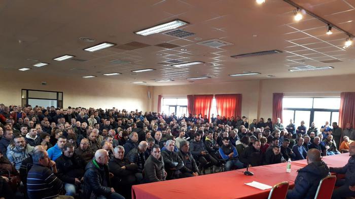 Pastori sardi all'attacco, "politici spariti". Centinaio, "Adesso basta!"