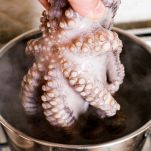 Immergere il polpo in acqua bollente