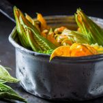 Fiori di zucca al vapore