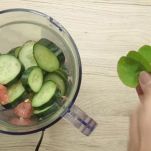 frullatoalcetrioloepompelmo2