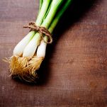 cipollotto