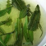 insalata_mare_aperto_03