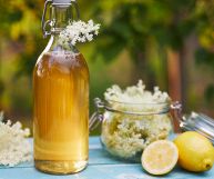Lo sciroppo di fiori di sambuco è il principale ingrediente di un noto aperitivo: scopriamo quali sono le sue proprietà nutrizionali e come usarlo