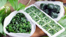 Come conservare il Basilico