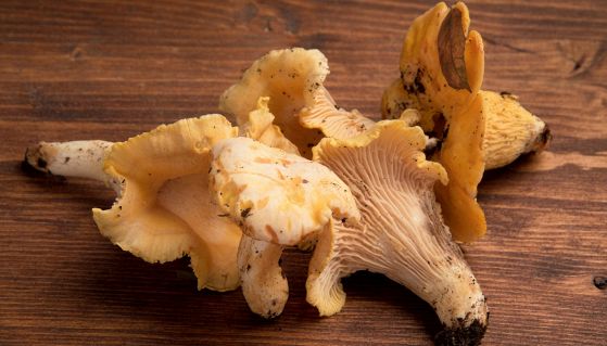 Finferli crudi adagiati su un piano di legno
