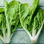 insalata