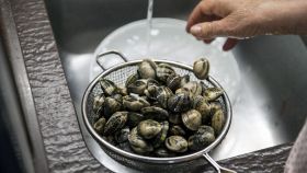 Come spurgare le vongole dalla sabbia