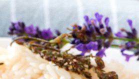 Risotto alla lavanda