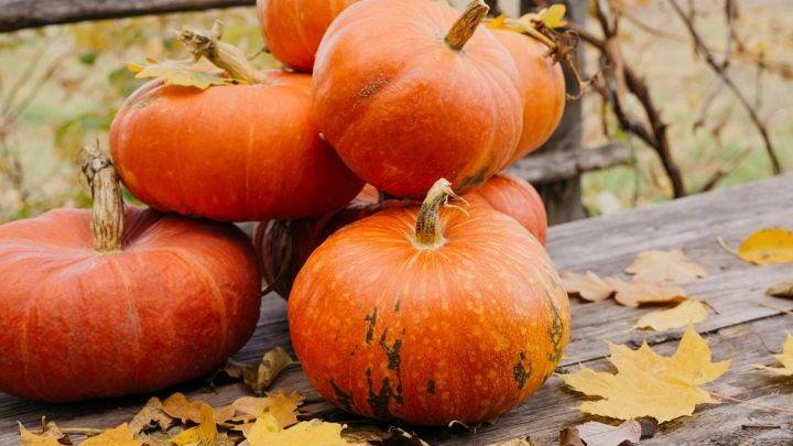 Lista e benefici di frutta e verdura di ottobre