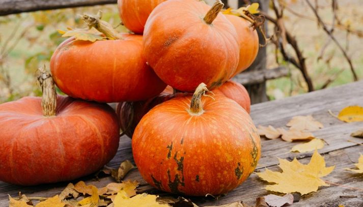 Lista e benefici di frutta e verdura di ottobre