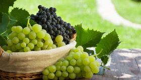 Lista e benefici di frutta e verdura di settembre