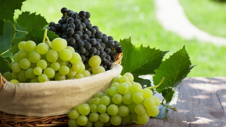 Lista e benefici di frutta e verdura di settembre