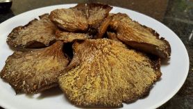Funghi pleurotus gratinati al forno