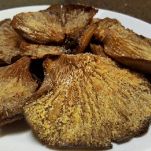 funghi-pleurotus-al-forno