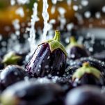 melanzane sotto l'acqua corrente