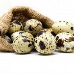 Le uova di quaglia sono molto più piccole di quelle di gallina, ma hanno un notevole contenuto nutrizionale: ecco tutte le loro proprietà e gli usi in cucina