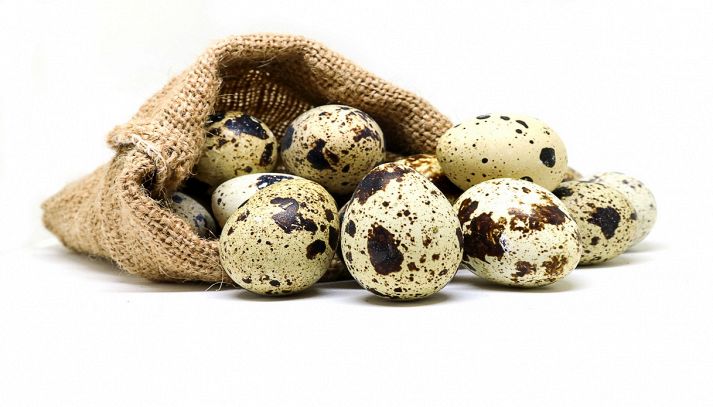Le uova di quaglia sono molto più piccole di quelle di gallina, ma hanno un notevole contenuto nutrizionale: ecco tutte le loro proprietà e gli usi in cucina