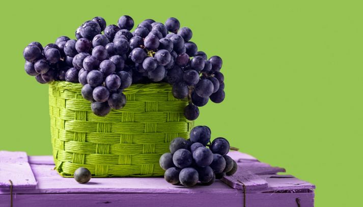 L'uva fragola, dal colore viola intenso, è un frutto prelibato di cui è proibito l'uso per la produzione di vino: ecco le sue proprietà nutrizionali