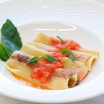 cannelloni-pomodoro-basilico