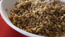 Farro, uova e piselli