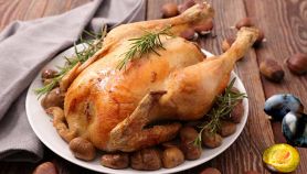 Tacchinella ripiena con castagne e prugne