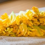 Fiori di zucca lavati messi ad asciugare
