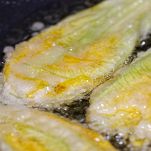 Frittura fiori di zucca