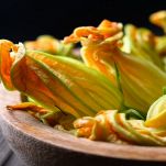Fiori di zucca