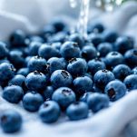 Preparazione dei mirtilli