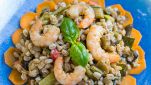 Insalata di farro con fagiolini e gamberetti