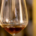 Tasting of fortified dry or sweet marsala wine in vintage wine c