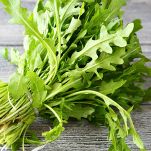 rucola