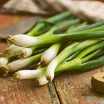 porri