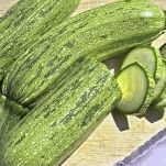 zucchine-rondelle