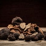 Black truffle mushroom