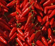 Il peperoncino calabrese è una specialità tipica della Calabria: largamente impiegato come spezia, conferisce un sapore mediamente piccante a qualunque piatto