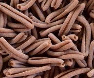 Provenienti dalla tradizione pastaia siciliana, le caserecce integrali sono perfette per un primo piatto delizioso e pieno di benessere: ecco come usarle