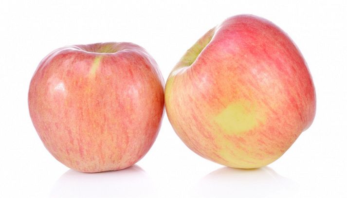 Su sfondo bianco, due mele fuji dalla consistenza soda e la buccia intatta, dio colore rosso-rosato con striature ora gialle paglierino, ora arancioni chiaro